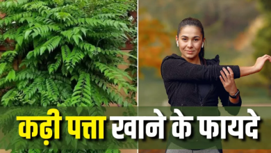 Photo of रोज सुबह खाली पेट चबा लें 7-8 कढ़ी पत्ते, मिलेंगे 8 कमाल के फायदे