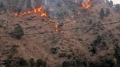 Photo of Uttarakhand: घर की ओर बढ़ रही जंगल की आग को रोकने गई महिला, बुरी तरह झुलसने से मौत