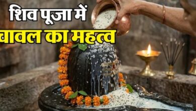 Photo of भगवान शिव को चावल अर्पित करने से क्यों बढ़ती है स्थिर लक्ष्मी?