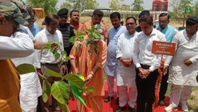 Photo of पर्यावरण दिवस आज: यूपी में एक पेड़ मां के नाम अभियान के तहत होंगे पांच करोड़ पौधरोपण